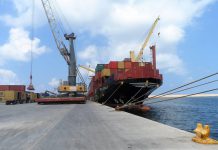 ميناء طرابلس يستقبل قرابة ألف رأس من العجول ميناء طرابلس يستقبل قرابة ألف رأس من العجول