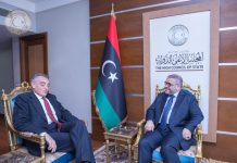 المشري يؤكد على أهمية الدفع بالمسار الدستوري المشري يؤكد على أهمية الدفع بالمسار الدستوري