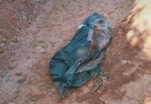 رصد الجرائم الليبية: العثور على جثتين مكبّلتين مجهولتي الهوية جنوب بنغازي رصد الجرائم الليبية: العثور على جثتين مكبّلتين مجهولتي الهوية جنوب بنغازي