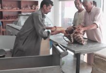 مراقبة الاقتصاد بباطن الجبل تحدد أسعار الخبز مراقبة الاقتصاد بباطن الجبل تحدد أسعار الخبز