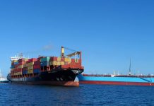 ليبيا تستقبل مئات السيارات الأوروبية عبر ميناء بنغازي ليبيا تستقبل مئات السيارات الأوروبية عبر ميناء بنغازي