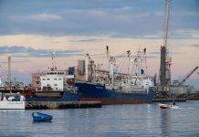 ميناء طرابلس يستقبل آلاف الأطنان من السكر والذرة والشعير ميناء طرابلس يستقبل آلاف الأطنان من السكر والذرة والشعير