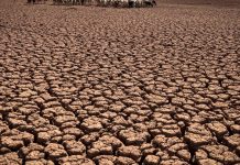 هل يتمكن “المغرب العربي” من مواجهة مخاطر الجفاف؟ هل يتمكن "المغرب العربي" من مواجهة مخاطر الجفاف؟