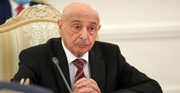 عقيلة صالح يدعو أعضاء مجلس النواب لجلسة رسمية الثلاثاء القادم عقيلة صالح يدعو أعضاء مجلس النواب لجلسة رسمية الثلاثاء القادم