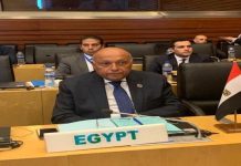 شكري يطالب بضرورة وقف التدخلات الخارجية في الشؤون الليبية شكري يطالب بضرورة وقف التدخلات الخارجية في الشؤون الليبية