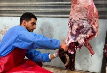 سعر استرشادي للحوم لمواجهة الغلاء سعر استرشادي للحوم لمواجهة الغلاء