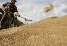 الخاسرون من عدم تجديد اتفاق الحبوب الأوكرانية الخاسرون من عدم تجديد اتفاق الحبوب الأوكرانية