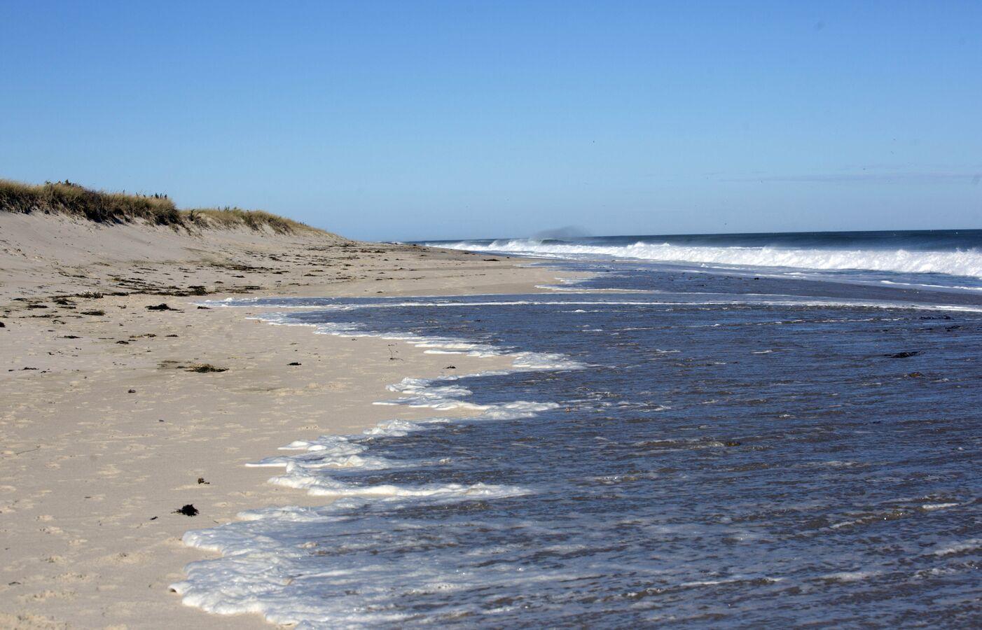 دراسة حديثة تكشف سبب تحول لون المحيطات من الأزرق إلى الأخضر لأول مرة دراسة حديثة تكشف سبب تحول لون المحيطات من الأزرق إلى الأخضر لأول مرة