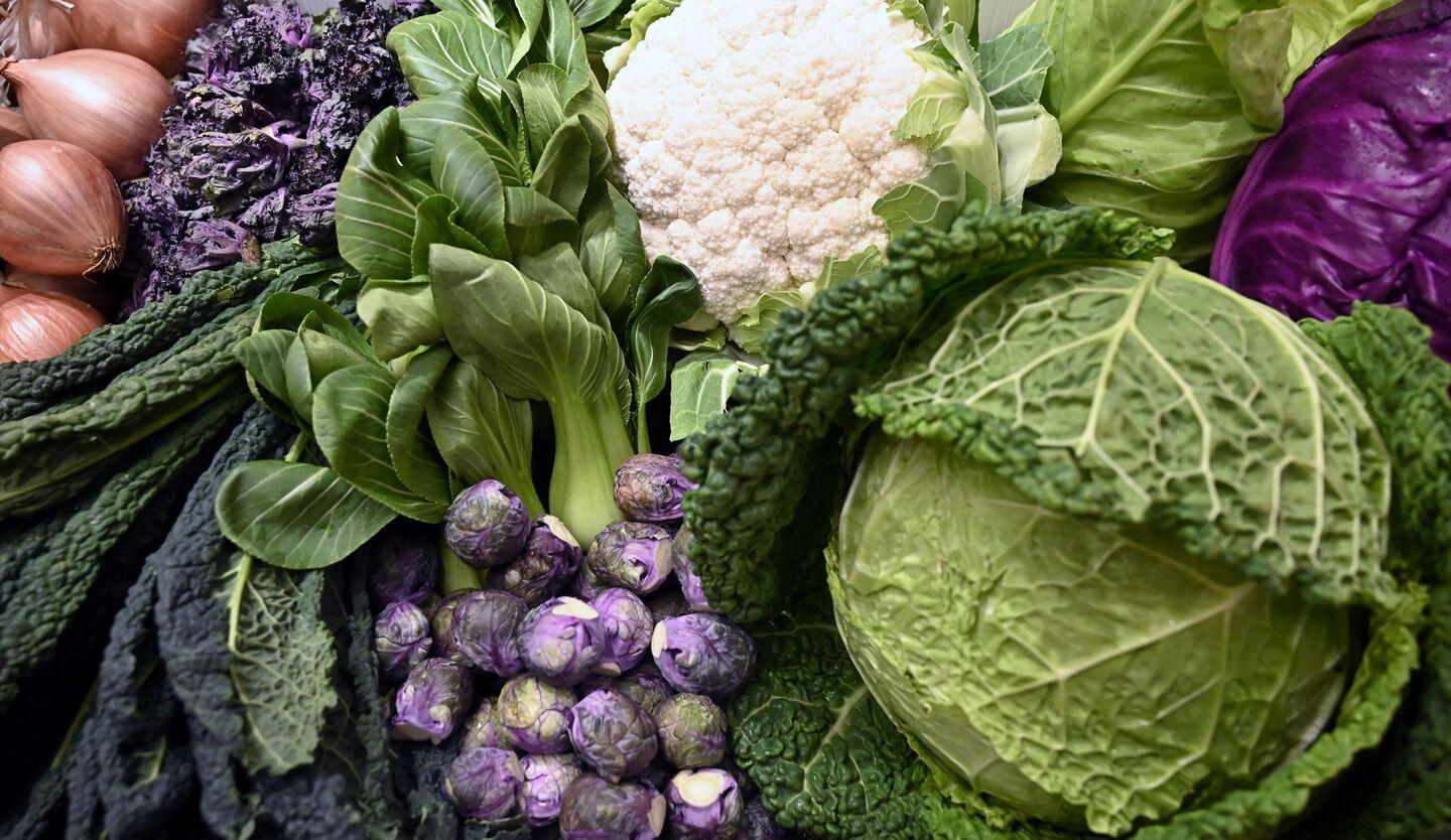 دراسة: حمية غذائية بسيطة قد تقلل من زيادة الوزن في منتصف العمر دراسة: حمية غذائية بسيطة قد تقلل من زيادة الوزن في منتصف العمر