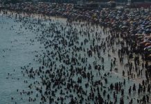 الحرارة غير المسبوقة قد تؤدي إلى انقراض جماعي الحرارة غير المسبوقة قد تؤدي إلى انقراض جماعي