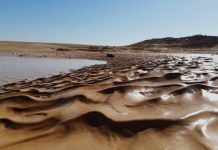 الجغبوب تشكو.. مدارس مكتظّة وطرق متهالكة الجغبوب تشكو.. مدارس مكتظّة وطرق متهالكة