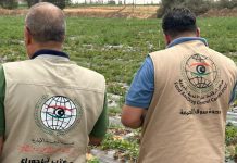 ”معظمها محظور“.. حملة واسعة في طرابلس على المبيدات الزراعية ”معظمها محظور“.. حملة واسعة في طرابلس على المبيدات الزراعية