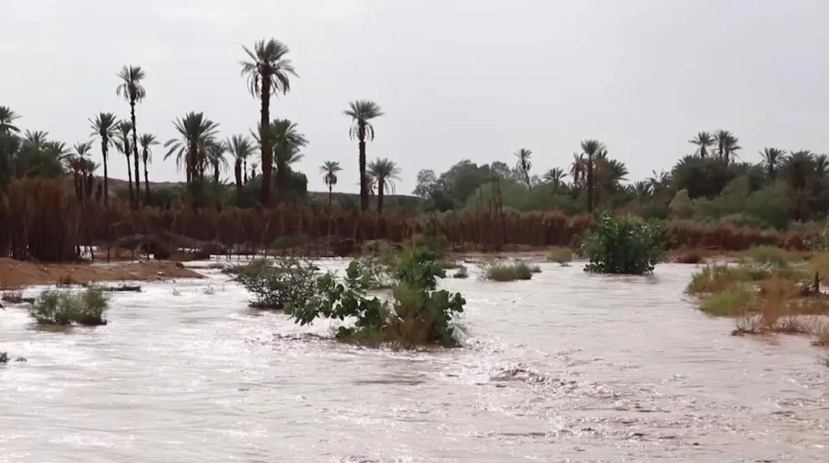 غرق طفل في منطقة البركت نتيجة الأمطار الغزيرة