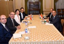 مصر وتركيا تعقدان مشاورات سياسية حول ليبيا وأفريقيا مصر وتركيا تعقدان مشاورات سياسية حول ليبيا وأفريقيا