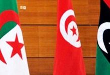 تونس تعتمد آلية تشاور حول المياه الجوفية مع ليبيا والجزائر تونس تعتمد آلية تشاور حول المياه الجوفية مع ليبيا والجزائر