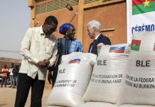 صادرات القمح الروسي تفتح أسواقاً جديدة في أفريقيا صادرات القمح الروسي تفتح أسواقاً جديدة في أفريقيا