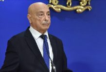 عقيلة صالح يبحث مع المبعوثة الأممية تشكيل حكومة موحدة عقيلة صالح يبحث مع المبعوثة الأممية تشكيل حكومة موحدة