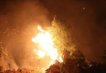 حرائق تخرج عن السيطرة في واحة العوينات جنوب غربي ليبيا حرائق تخرج عن السيطرة في واحة العوينات جنوب غربي ليبيا