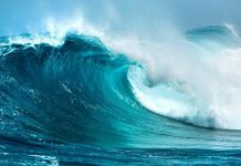 البحر يبتلع 4 أرواح في يوم واحد.. غرق 3 أشقاء وشاب مصري البحر يبتلع 4 أرواح في يوم واحد.. غرق 3 أشقاء وشاب مصري