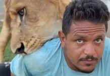 أول تعليق من صاحب فيديو إطلاق الأسد على مصري في ليبيا أول تعليق من صاحب فيديو إطلاق الأسد على مصري في ليبيا