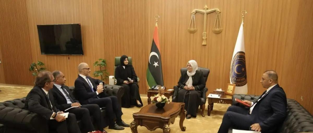 وزيرة العدل تبحث مع سفير الاتحاد الأوروبي تعزيز التعاون وزيرة العدل تبحث مع سفير الاتحاد الأوروبي تعزيز التعاون