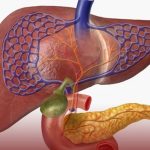 اختبار تنفس جديد لكشف سرطان البنكرياس اختبار تنفس جديد لكشف سرطان البنكرياس