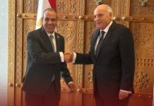 مصر والجزائر تؤكدان دعم المسار السياسي الليبي – الليبي مصر والجزائر تؤكدان دعم المسار السياسي الليبي - الليبي