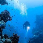 علماء صينيون يطورون نموذج ذكاء صناعي لاستكشاف أعماق البحار علماء صينيون يطورون نموذج ذكاء صناعي لاستكشاف أعماق البحار