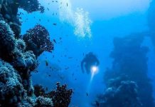 علماء صينيون يطورون نموذج ذكاء صناعي لاستكشاف أعماق البحار علماء صينيون يطورون نموذج ذكاء صناعي لاستكشاف أعماق البحار