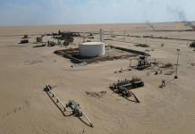 ثروة ليبيا النفطية قبل 60 مليون سنة العلم يكشف القصة الكاملة ثروة ليبيا النفطية قبل 60 مليون سنة العلم يكشف القصة الكاملة