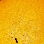 مصور فلكي يلتقط صورة لمظلي يتحول إلى ظل على قرص الشمس مصور فلكي يلتقط صورة لمظلي يتحول إلى ظل على قرص الشمس