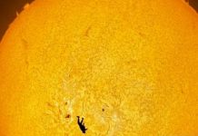 مصور فلكي يلتقط صورة لمظلي يتحول إلى ظل على قرص الشمس مصور فلكي يلتقط صورة لمظلي يتحول إلى ظل على قرص الشمس