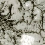 اكتشاف أقدم آثار كيميائية على الأرض بصخرة عمرها3.3 مليار سنة اكتشاف أقدم آثار كيميائية على الأرض بصخرة عمرها3.3 مليار سنة