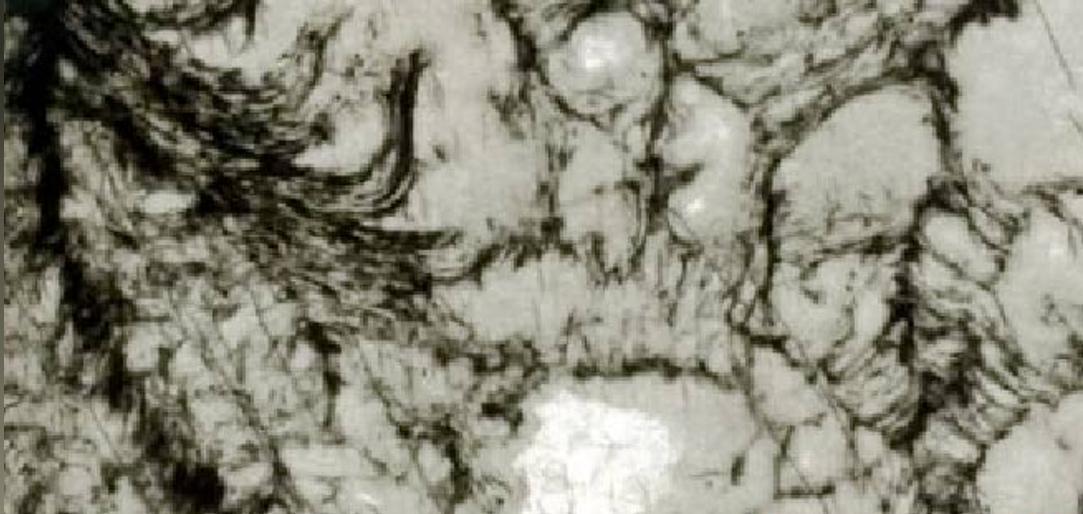 اكتشاف أقدم آثار كيميائية على الأرض بصخرة عمرها3.3 مليار سنة اكتشاف أقدم آثار كيميائية على الأرض بصخرة عمرها3.3 مليار سنة