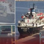 تفريغ شحنة أبقار مريضة بميناء بنغازي بعد رفض تركيا استقبالها تفريغ شحنة أبقار مريضة بميناء بنغازي بعد رفض تركيا استقبالها