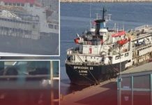 تفريغ شحنة أبقار مريضة بميناء بنغازي بعد رفض تركيا استقبالها تفريغ شحنة أبقار مريضة بميناء بنغازي بعد رفض تركيا استقبالها