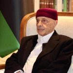 صالح يقترح حوارا مع تركيا ومصر لترسيم الحدود البحرية الليبية صالح يقترح حوارا مع تركيا ومصر لترسيم الحدود البحرية الليبية