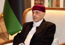 صالح يقترح حوارا مع تركيا ومصر لترسيم الحدود البحرية الليبية صالح يقترح حوارا مع تركيا ومصر لترسيم الحدود البحرية الليبية