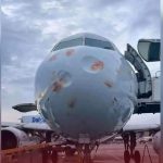 بعد حادثة طائرة برنيق.. منظمة طبيعيّة تُحذّر بعد حادثة طائرة برنيق.. منظمة طبيعيّة تُحذّر