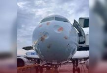 بعد حادثة طائرة برنيق.. منظمة طبيعيّة تُحذّر بعد حادثة طائرة برنيق.. منظمة طبيعيّة تُحذّر