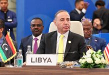 «الباعور» يدعو إلى تمثيل إفريقي دائم في مجلس الأمن «الباعور» يدعو إلى تمثيل إفريقي دائم في مجلس الأمن