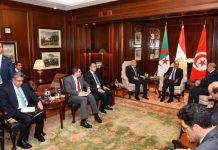 مصر والجزائر وتونس تجدد دعمها لإجراء الانتخابات الليبية مصر والجزائر وتونس تجدد دعمها لإجراء الانتخابات الليبية