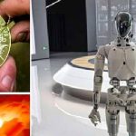 الاكتشافات العلمية في 2025 “زلزال” يعيد صياغة التفكير بالكون الاكتشافات العلمية في 2025 "زلزال" يعيد صياغة التفكير بالكون