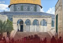 مستوطنون يقتحمون الأقصى وإبعاد أسير محرر عنه مستوطنون يقتحمون الأقصى وإبعاد أسير محرر عنه