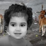 حملة أمنية واسعة للقضاء على الكلاب الضالة بعد وفاة طفلة حملة أمنية واسعة للقضاء على الكلاب الضالة بعد وفاة طفلة