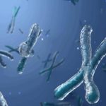 عامل جديد يكشف سر طول العمر عامل جديد يكشف سر طول العمر