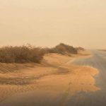 الجبل الأخضر يواجه كارثة بيئية بسبب التصحر وزحف الرمال الجبل الأخضر يواجه كارثة بيئية بسبب التصحر وزحف الرمال