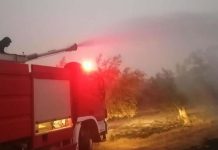 حرائق بني وليد تطال 6 هكتارات زيتون، والبلدية تطالب بدعم عاجل حرائق بني وليد تطال 6 هكتارات زيتون، والبلدية تطالب بدعم عاجل