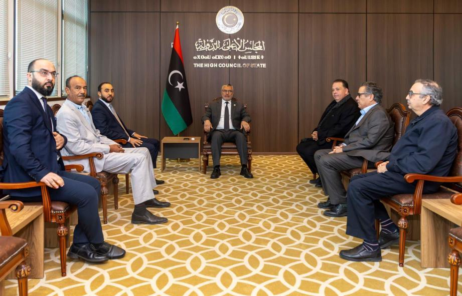 تكالة يناقش مع الوساطة السياسية رؤية المجلس للحل السياسي في ليبيا تكالة يناقش مع الوساطة السياسية رؤية المجلس للحل السياسي في ليبيا