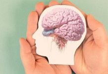 دراسة علمية تكشف آلية واعدة لاستعادة نشاط الخلايا الجذعية العصبية دراسة علمية تكشف آلية واعدة لاستعادة نشاط الخلايا الجذعية العصبية